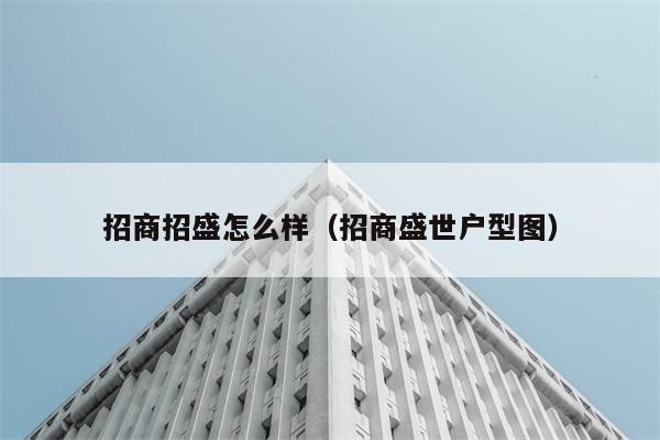 招商招盛怎么样（招商盛世户型图） 