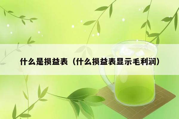 什么是损益表（什么损益表显示毛利润） 