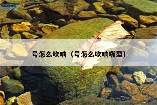 号怎么吹响（号怎么吹响嘴型） 