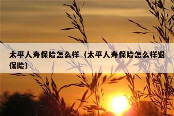 太平人寿保险怎么样（太平人寿保险怎么样退保险） 