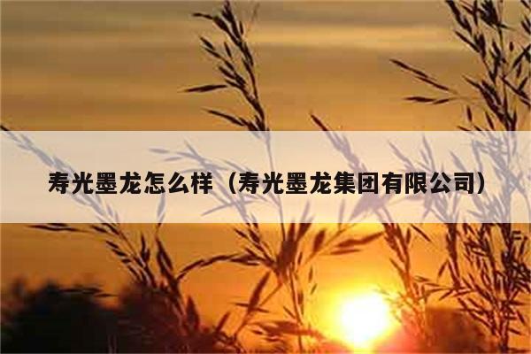 寿光墨龙怎么样（寿光墨龙集团有限公司） 