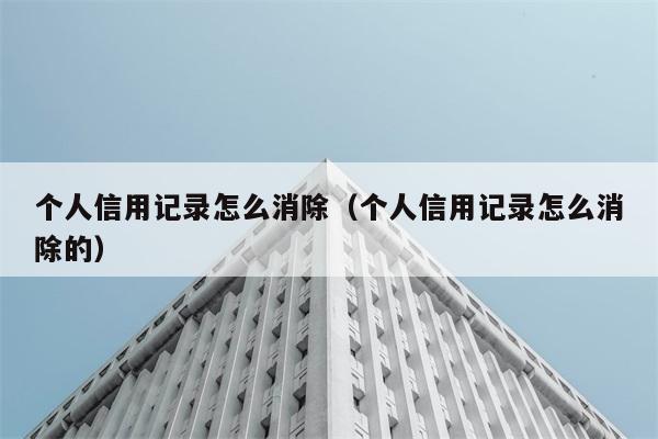 个人信用记录怎么消除（个人信用记录怎么消除的） 