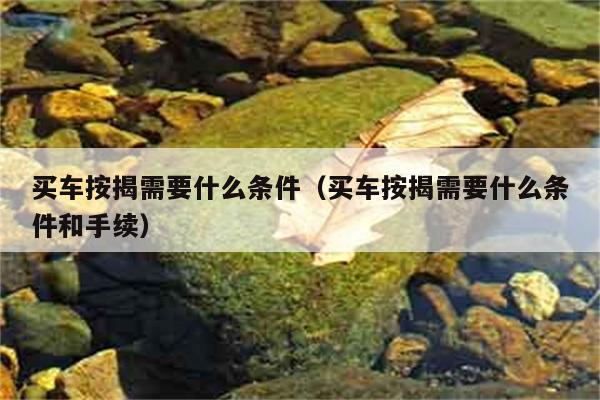 买车按揭需要什么条件（买车按揭需要什么条件和手续） 