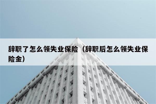 辞职了怎么领失业保险（辞职后怎么领失业保险金） 