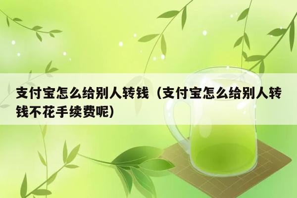 支付宝怎么给别人转钱（支付宝怎么给别人转钱不花手续费呢） 