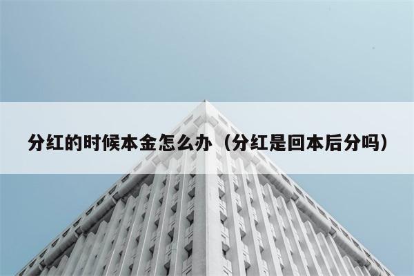 分红的时候本金怎么办（分红是回本后分吗） 