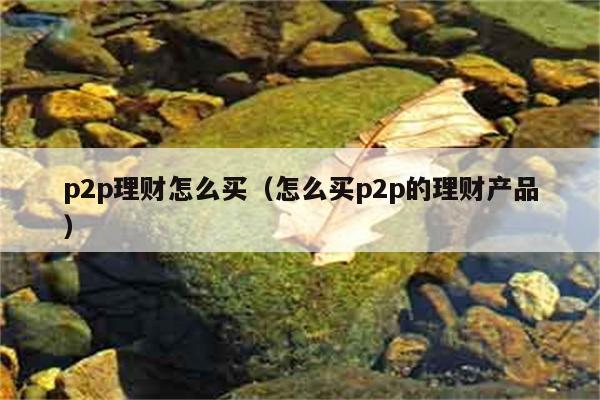 p2p理财怎么买（怎么买p2p的理财产品） 