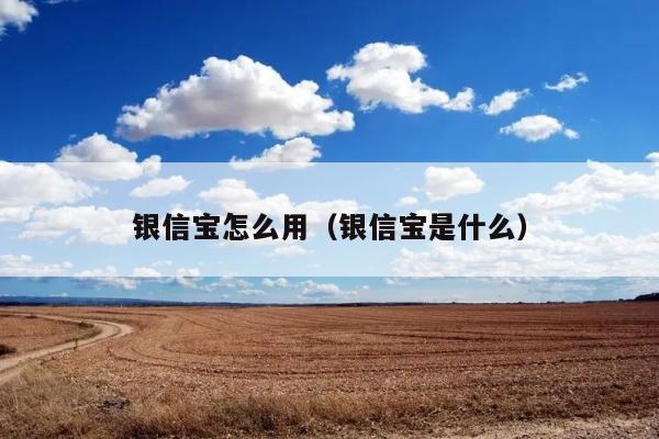 银信宝怎么用（银信宝是什么） 