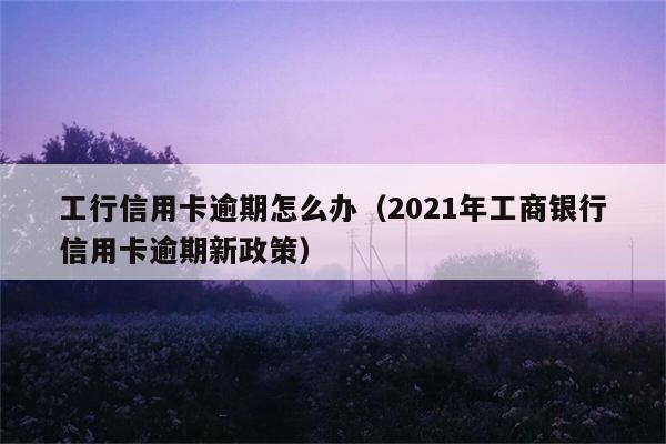 工行信用卡逾期怎么办（2021年工商银行信用卡逾期新政策） 