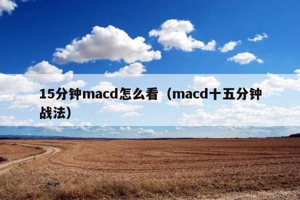 15分钟macd怎么看（macd十五分钟战法） 