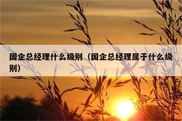 国企总经理什么级别（国企总经理属于什么级别） 