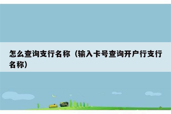 怎么查询支行名称（输入卡号查询开户行支行名称） 