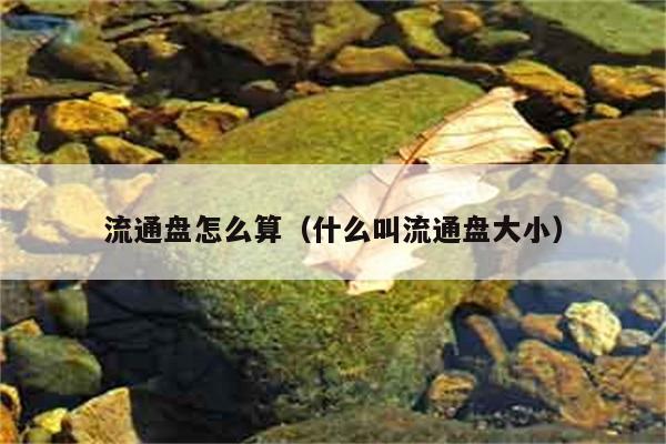 流通盘怎么算（什么叫流通盘大小） 