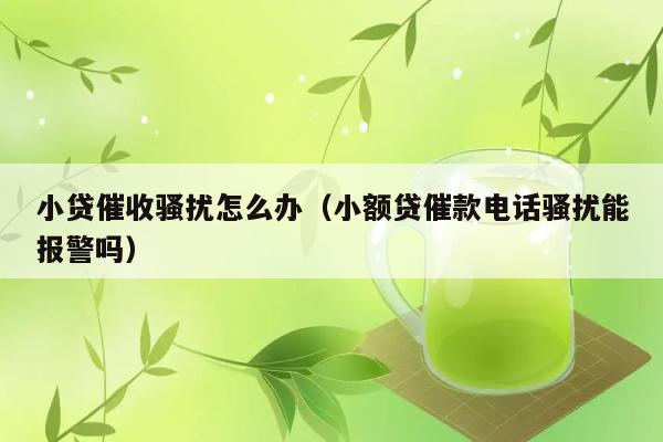 小贷催收骚扰怎么办（小额贷催款电话骚扰能报警吗） 