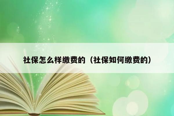 社保怎么样缴费的（社保如何缴费的） 