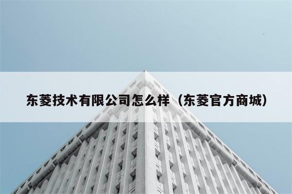 东菱技术有限公司怎么样（东菱官方商城） 