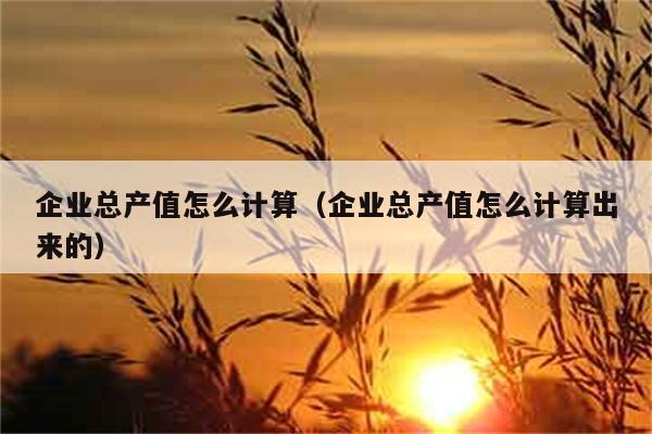 企业总产值怎么计算（企业总产值怎么计算出来的） 