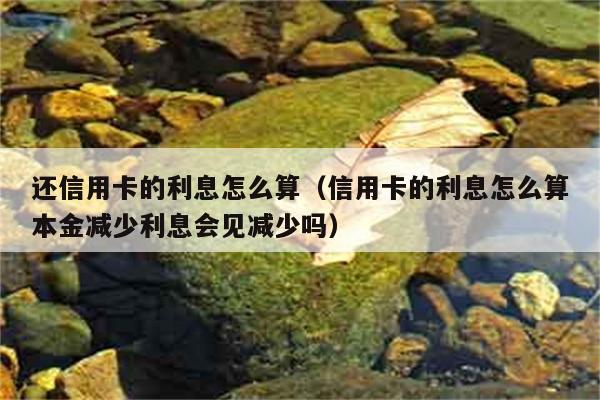 还信用卡的利息怎么算（信用卡的利息怎么算本金减少利息会见减少吗） 