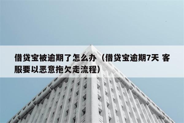 借贷宝被逾期了怎么办（借贷宝逾期7天 客服要以恶意拖欠走流程） 