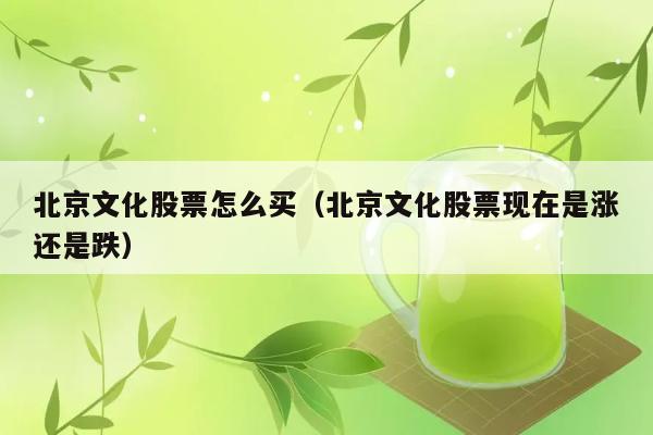 北京文化股票怎么买（北京文化股票现在是涨还是跌） 