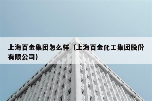 上海百金集团怎么样（上海百金化工集团股份有限公司） 