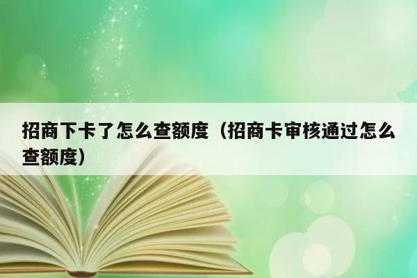 招商下卡了怎么查额度（招商卡审核通过怎么查额度） 