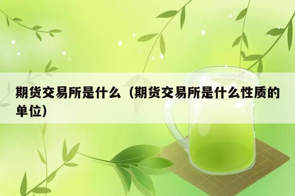 期货交易所是什么（期货交易所是什么性质的单位） 