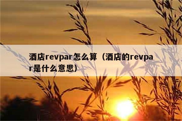 酒店revpar怎么算（酒店的revpar是什么意思） 