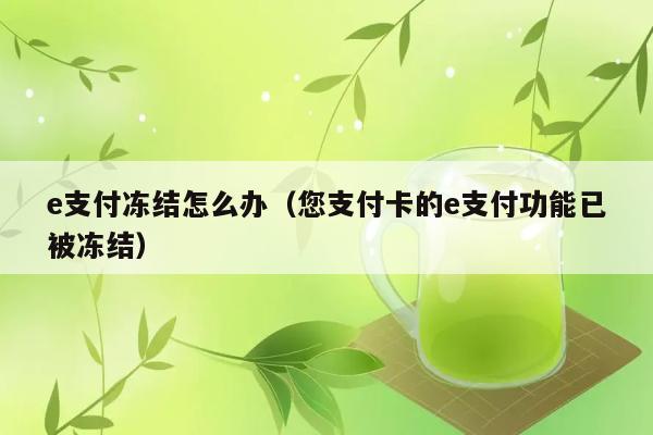 e支付冻结怎么办（您支付卡的e支付功能已被冻结） 