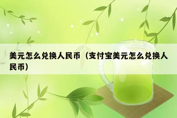 美元怎么兑换人民币（支付宝美元怎么兑换人民币） 