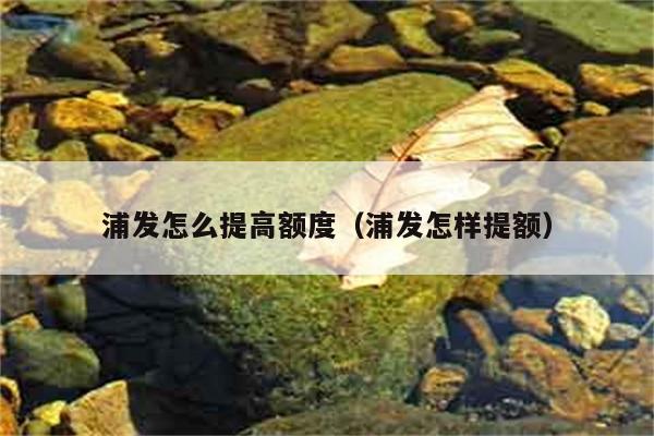 浦发怎么提高额度（浦发怎样提额） 