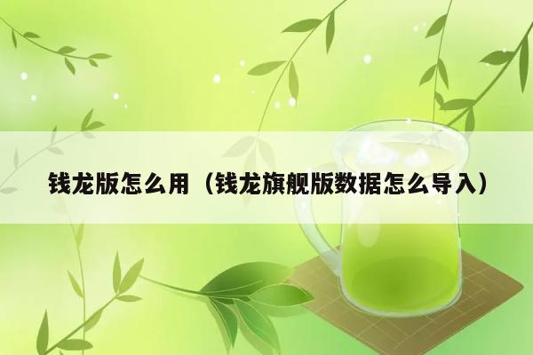 钱龙版怎么用（钱龙旗舰版数据怎么导入） 