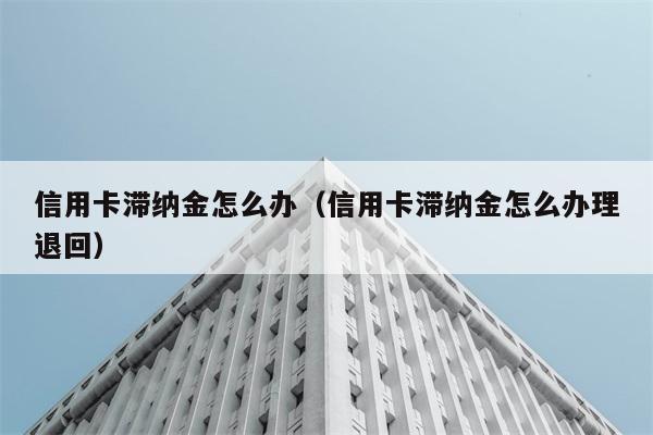 信用卡滞纳金怎么办（信用卡滞纳金怎么办理退回） 