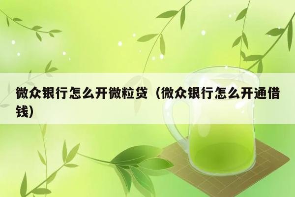 微众银行怎么开微粒贷（微众银行怎么开通借钱） 