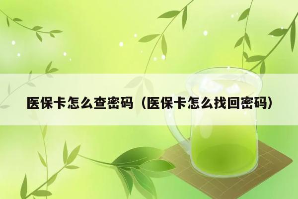 医保卡怎么查密码（医保卡怎么找回密码） 