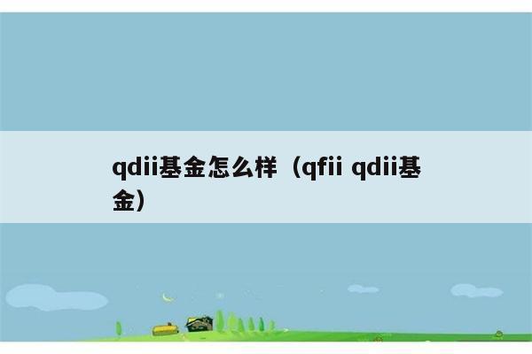 qdii基金怎么样（qfii qdii基金） 