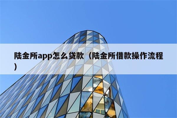 陆金所app怎么贷款（陆金所借款操作流程） 