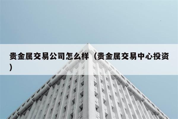 贵金属交易公司怎么样（贵金属交易中心投资） 