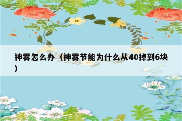 神雾怎么办（神雾节能为什么从40掉到6块） 