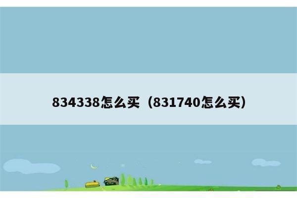 834338怎么买（831740怎么买） 