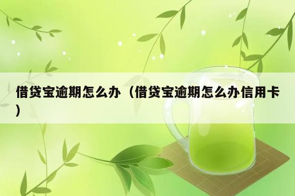 借贷宝逾期怎么办（借贷宝逾期怎么办信用卡） 