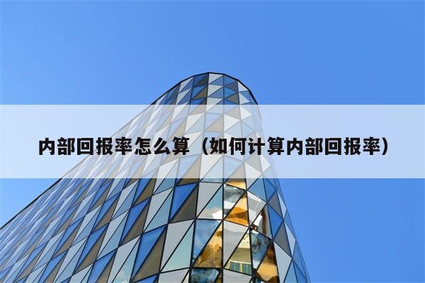 内部回报率怎么算（如何计算内部回报率） 