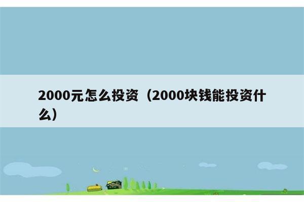 2000元怎么投资（2000块钱能投资什么） 