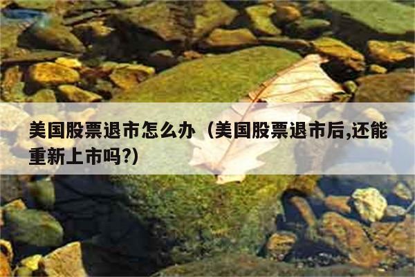 美国股票退市怎么办（美国股票退市后,还能重新上市吗?） 