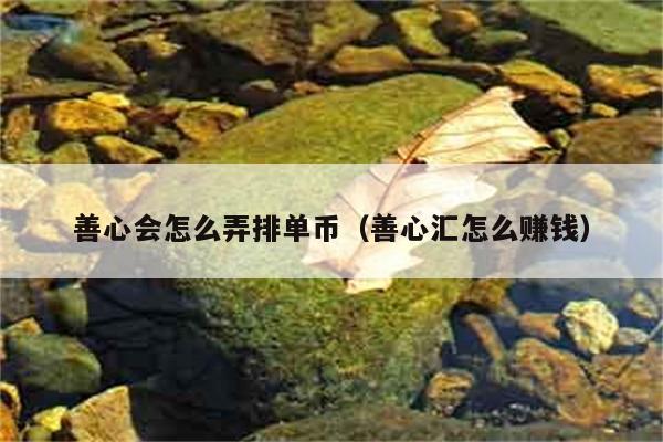 善心会怎么弄排单币（善心汇怎么赚钱） 