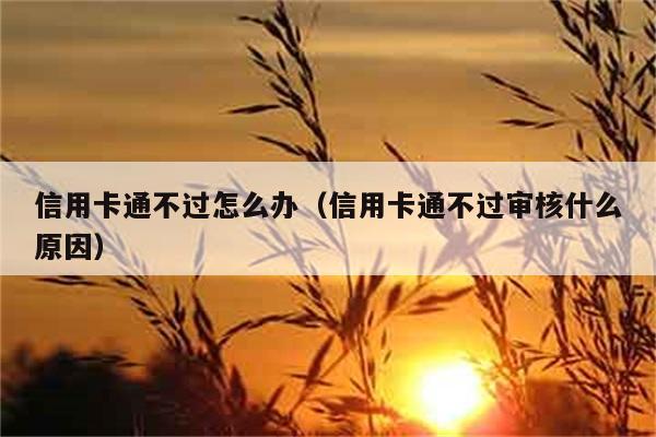 信用卡通不过怎么办（信用卡通不过审核什么原因） 