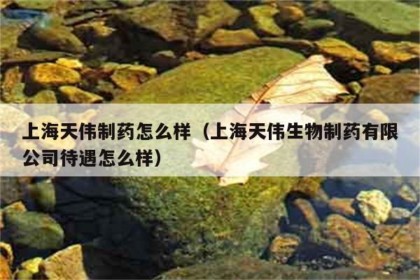 上海天伟制药怎么样（上海天伟生物制药有限公司待遇怎么样） 