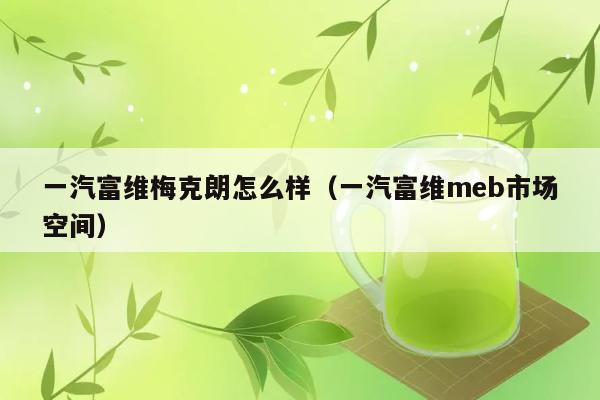 一汽富维梅克朗怎么样（一汽富维meb市场空间） 