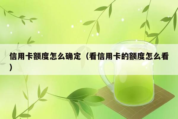 信用卡额度怎么确定（看信用卡的额度怎么看） 