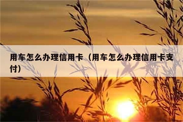 用车怎么办理信用卡（用车怎么办理信用卡支付） 